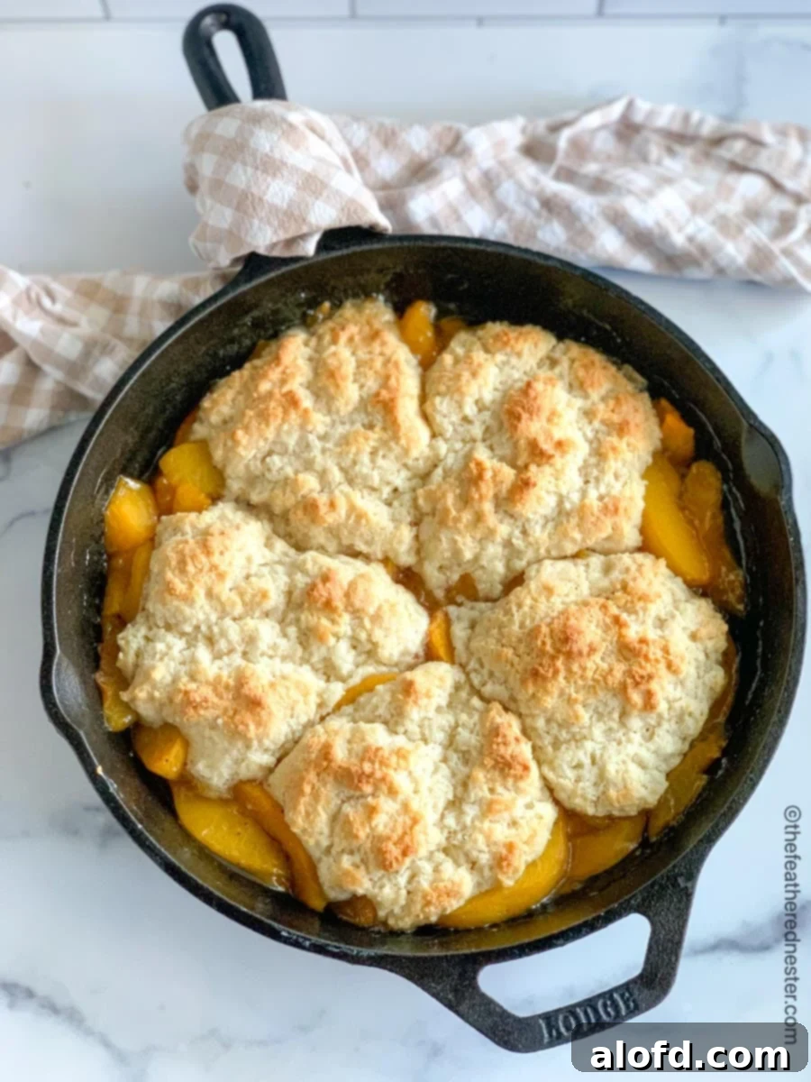 Easy Bisquick Peach Cobbler 2 A perfectly baked golden brown peach cobbler in a cast iron skillet, garnished with a tan and white checked napkin, ready to be served.