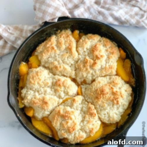 Easy Bisquick Peach Cobbler 8 A cast iron skillet filled with a perfectly baked peach cobbler, showing the golden biscuit topping and bubbly fruit underneath.