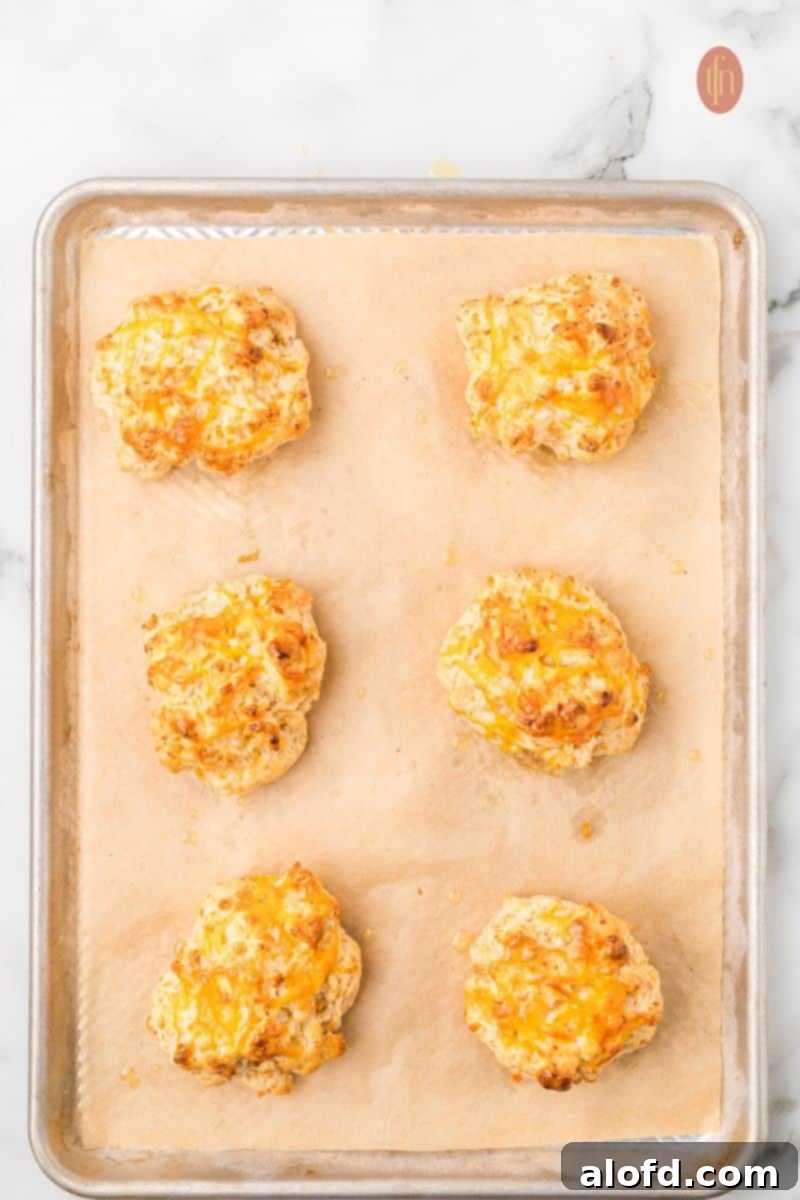 Bisquick Garlic Cheddar Biscuits 13 Baked cheddar biscuits cooling on a baking sheet lined with parchment paper.