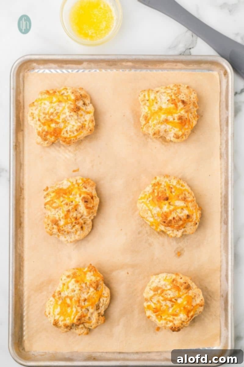 Bisquick Garlic Cheddar Biscuits 15 A baking sheet filled with golden, butter-brushed cheddar biscuits.