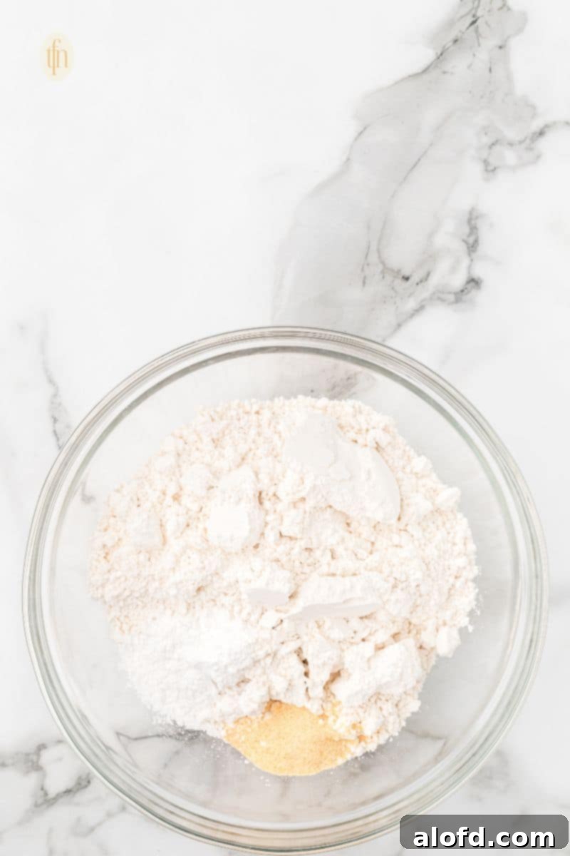 Bisquick Garlic Cheddar Biscuits 8 Dry ingredients in a bowl with a well in the center, ready for liquid additions.