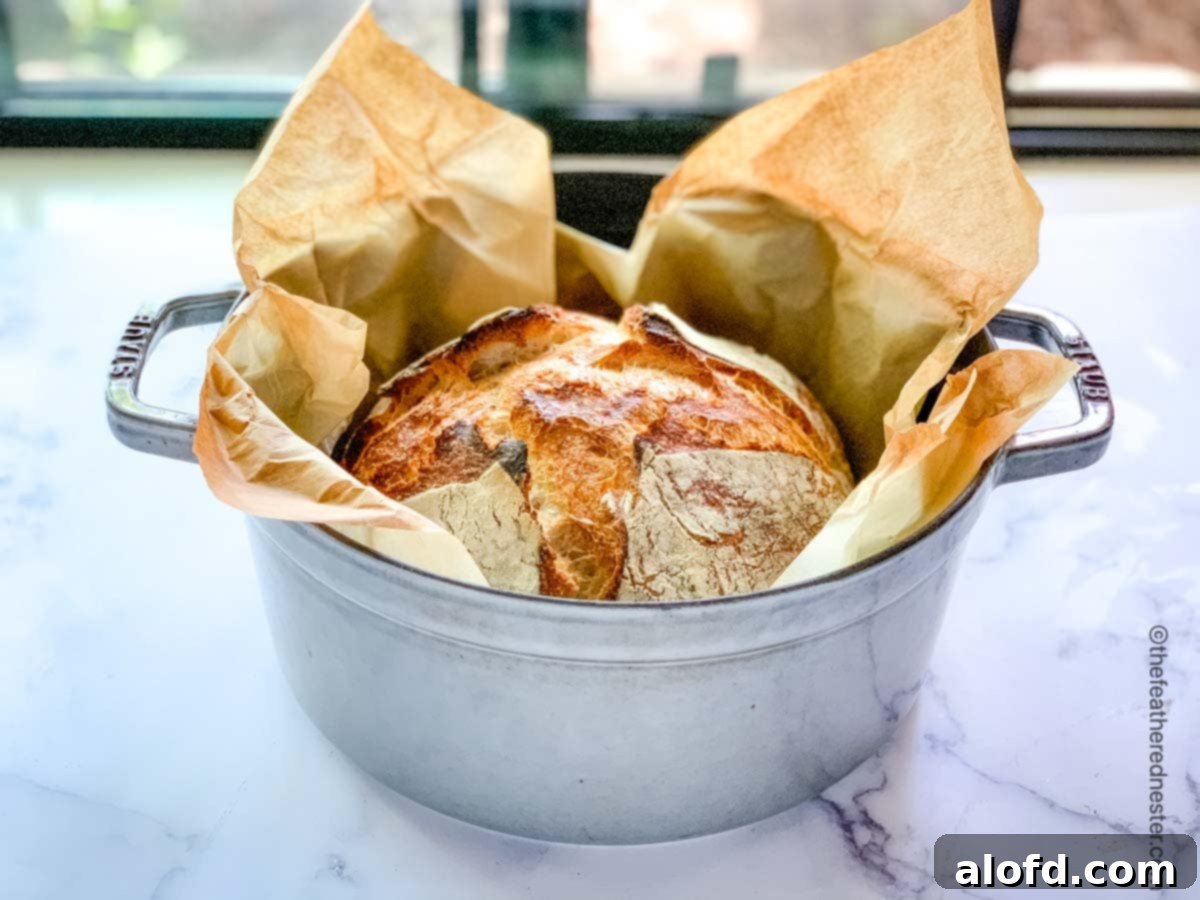 A loaf of Dutch oven sourdough bread cooling before slicing, showcasing its beautiful crust.