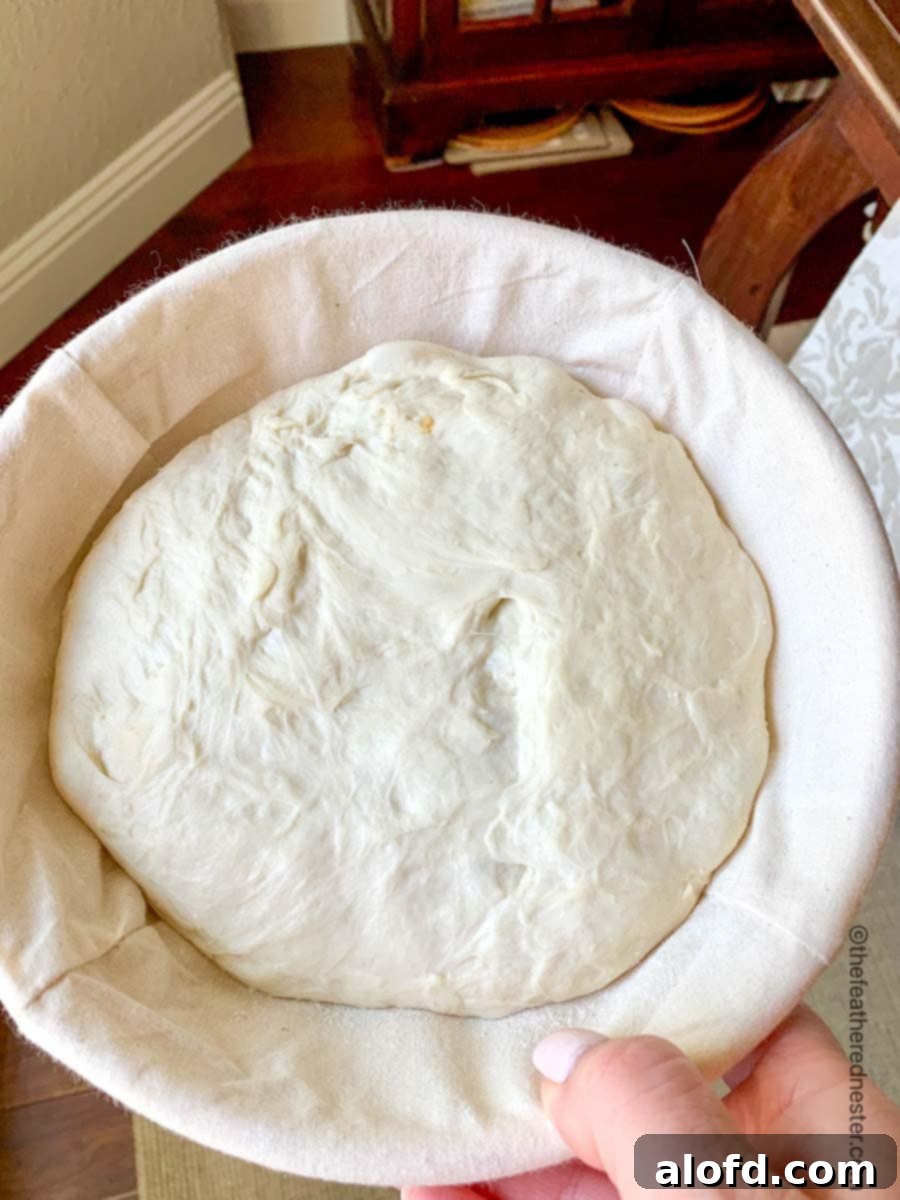 Sourdough bread dough rising in a banneton bowl, dusted with flour.