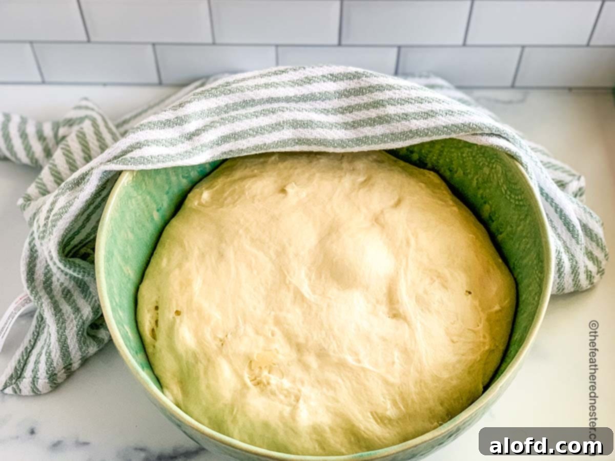 Sourdough bread dough rising in a bowl, showing bubbles underneath.
