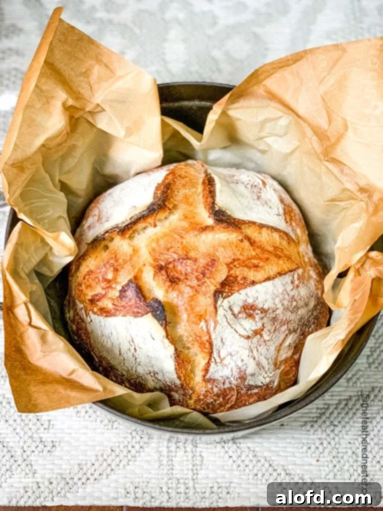 Beautifully golden-brown Dutch oven baked sourdough bread, showcasing a perfectly developed crust.