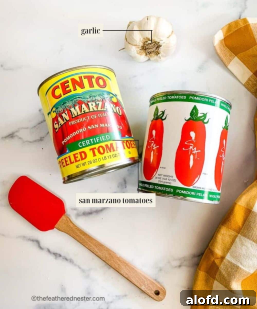 Labeled ingredient image for san marzano sauce recipe.