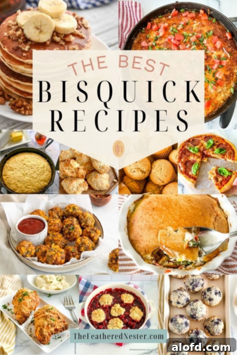 Titled graphic collage of 11 bisquick food images, showcasing a variety of easy and delicious meals from breakfast to dinner and dessert.
