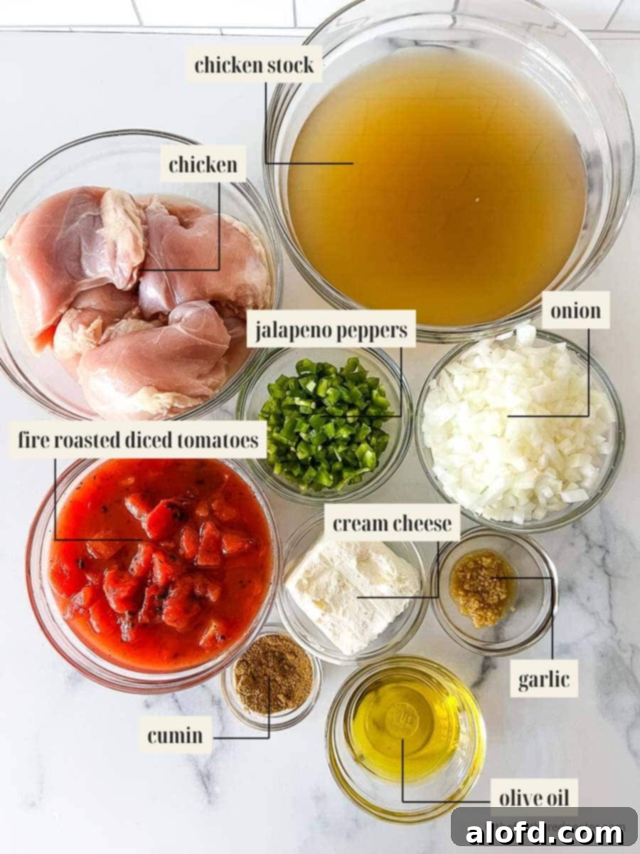 A neatly labeled array of fresh and canned ingredients for chicken tortilla soup, including chicken stock, chicken breast tenders, vibrant jalapeno peppers, a half onion, minced garlic, fire roasted diced tomatoes, a block of cream cheese, aromatic cumin, and a bottle of olive oil, all ready for preparation.