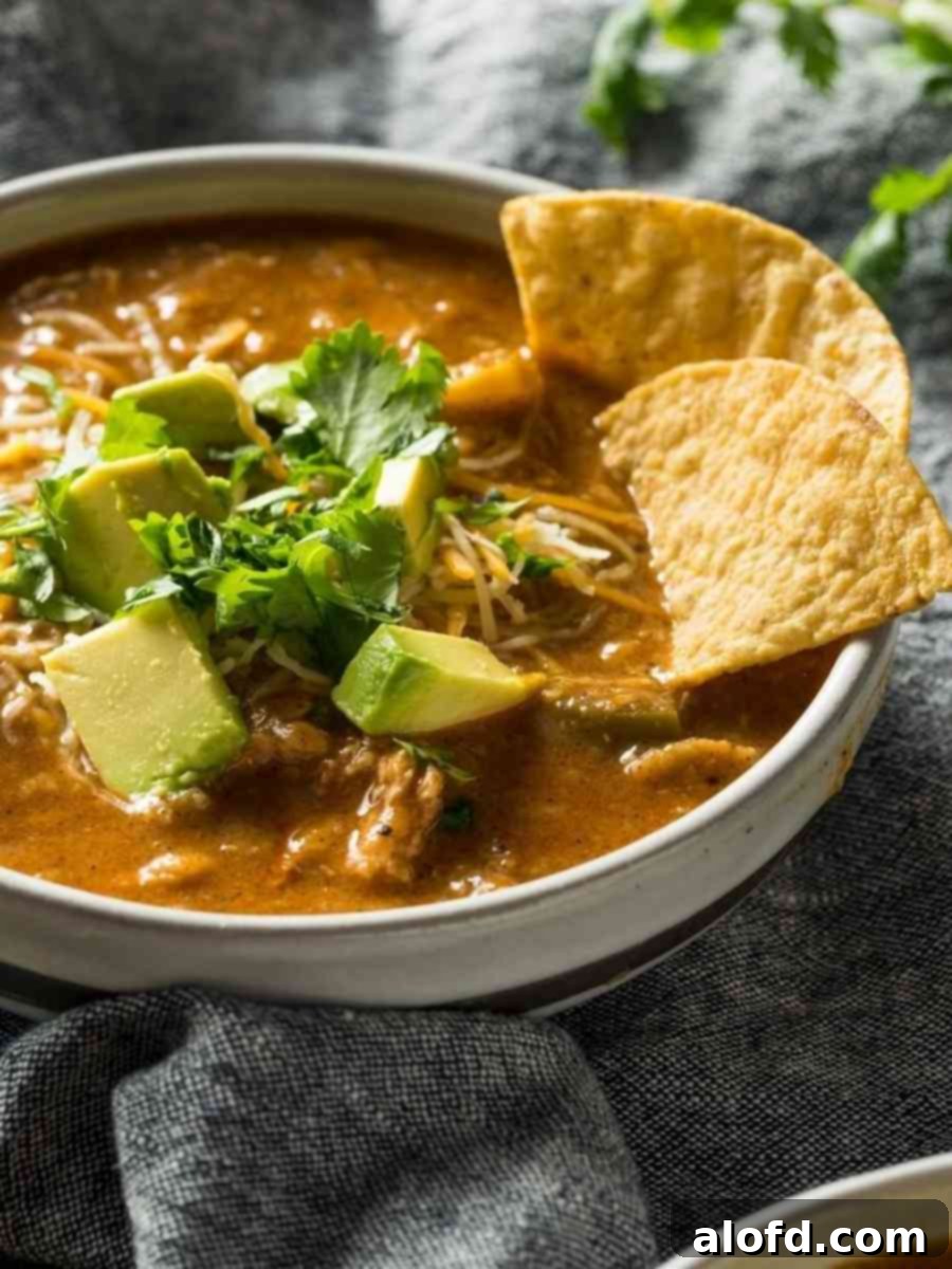 A pristine white bowl filled with creamy Instant Pot Chicken Tortilla Soup, elegantly topped with two golden-brown tortilla chips, inviting a taste of its rich flavors.