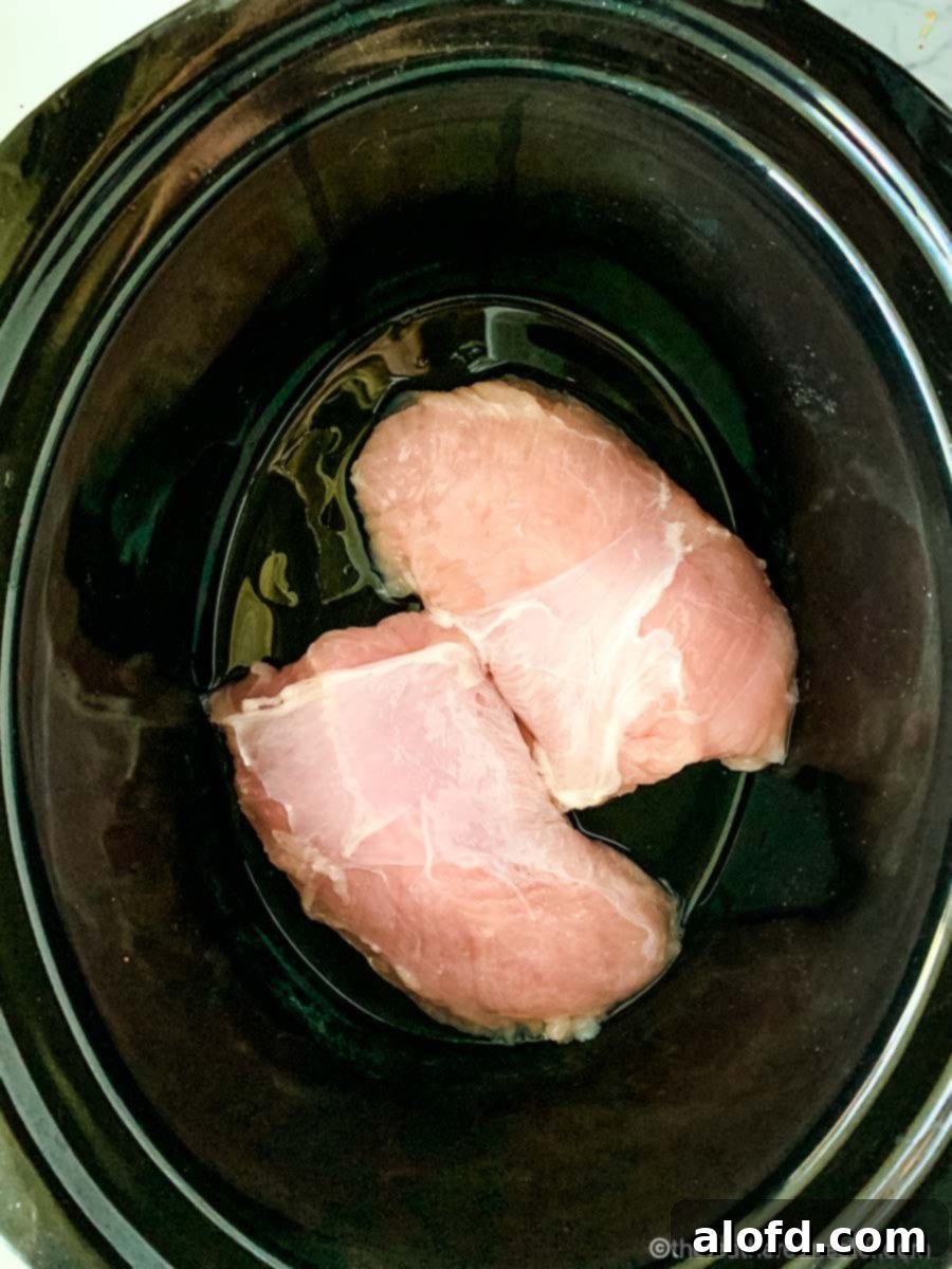 Two boneless skinless turkey tenderloins seasoned in a slow cooker pot.