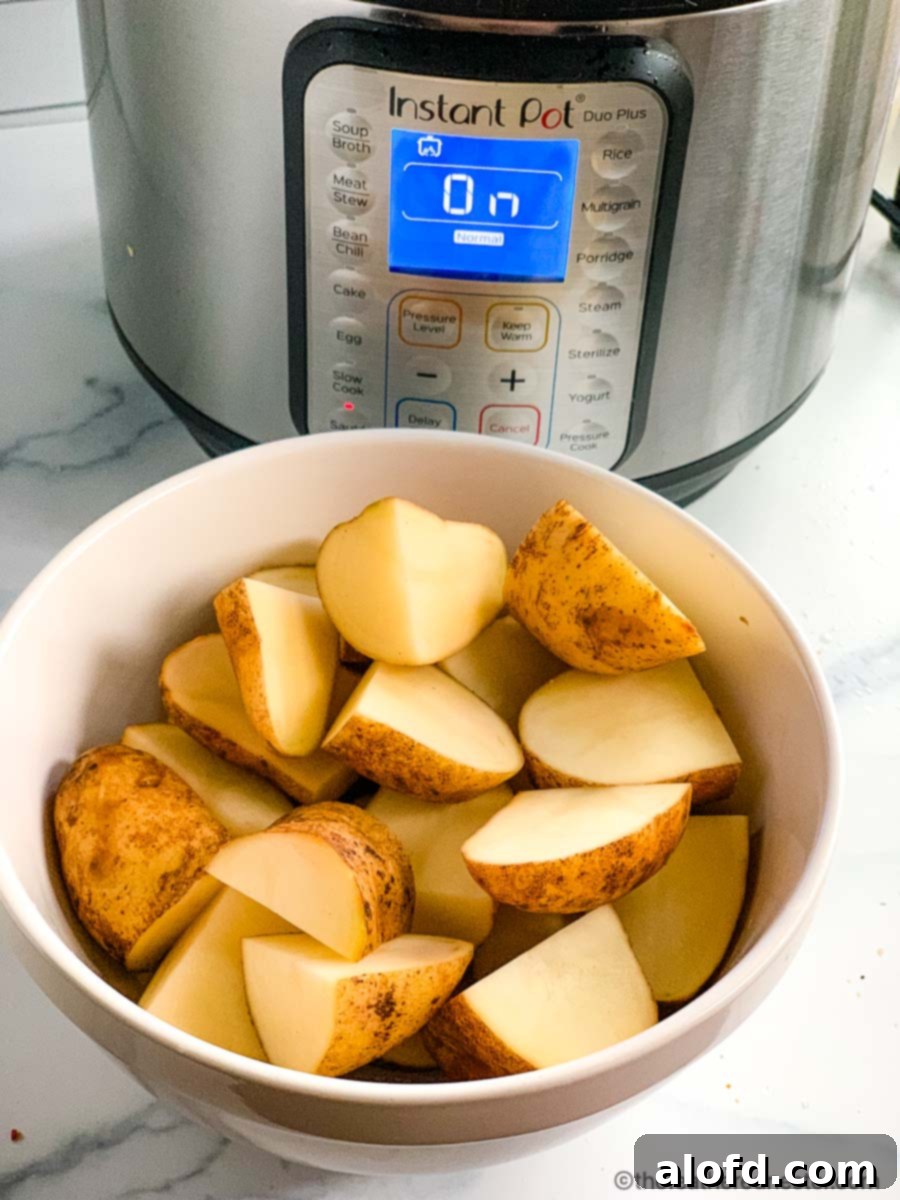 Creamy Instant Pot Garlic Mash 5 Peeled and diced potatoes in a bowl in front of an electric pressure cooker, ready for cooking.
