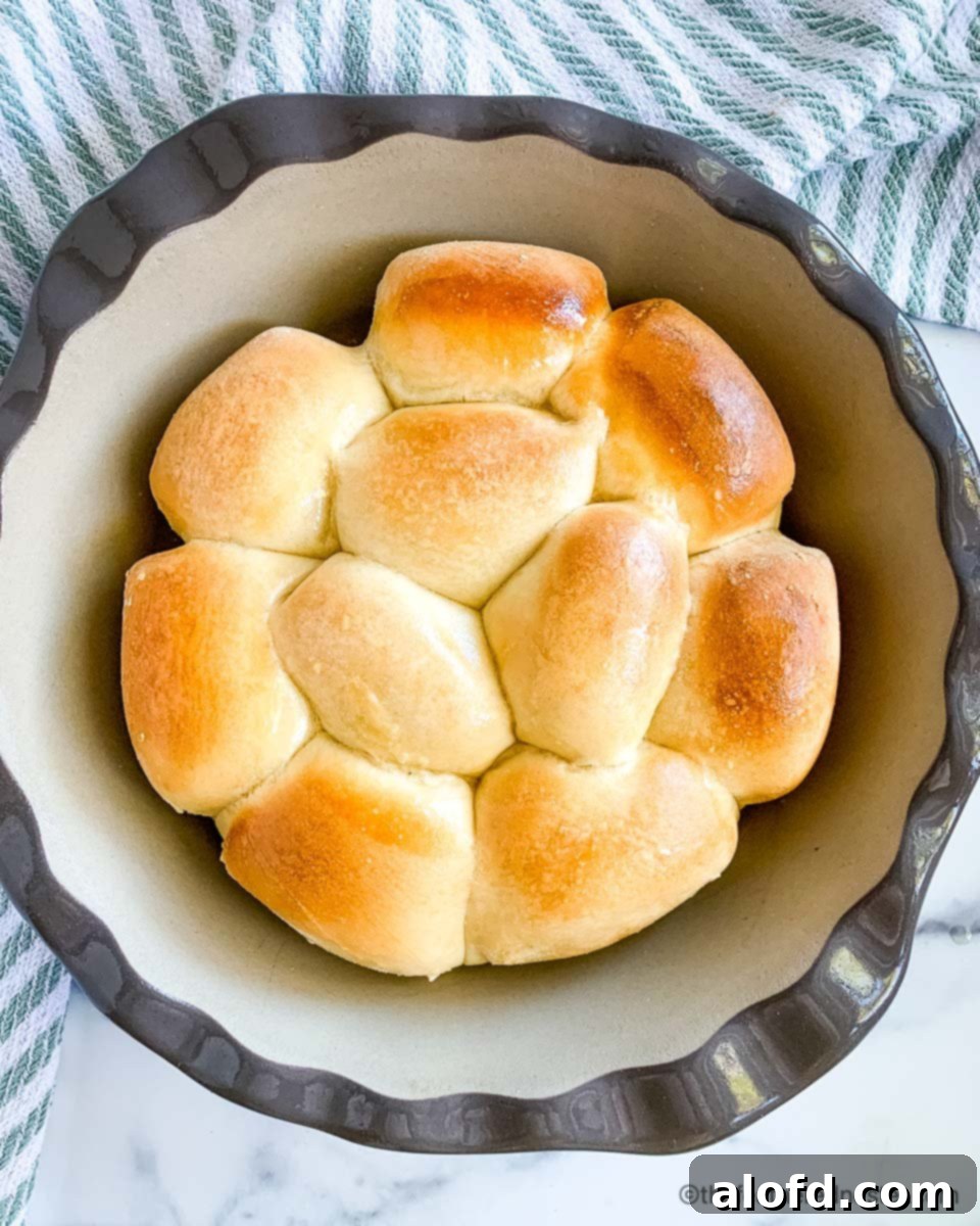 A round pan of freshly baked Parker House rolls from frozen dough, ready to serve.