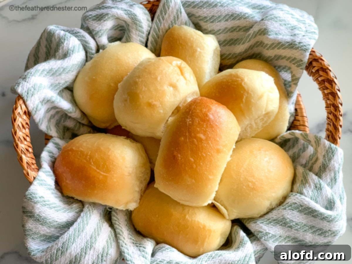 A basket of freshly baked Parker House rolls, ready to serve.