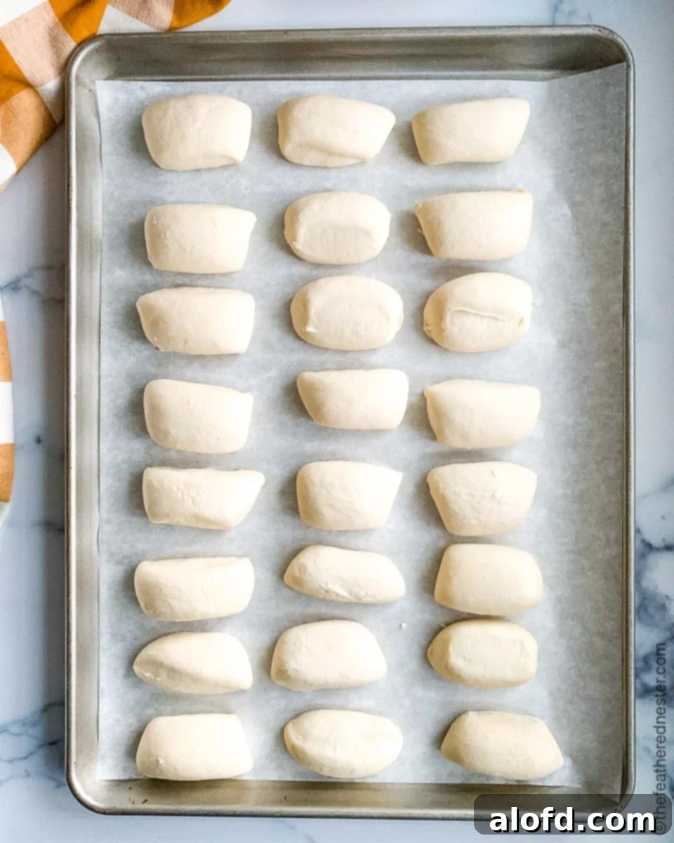 A baking sheet of yeast bread roll dough, ready to bake after rising.