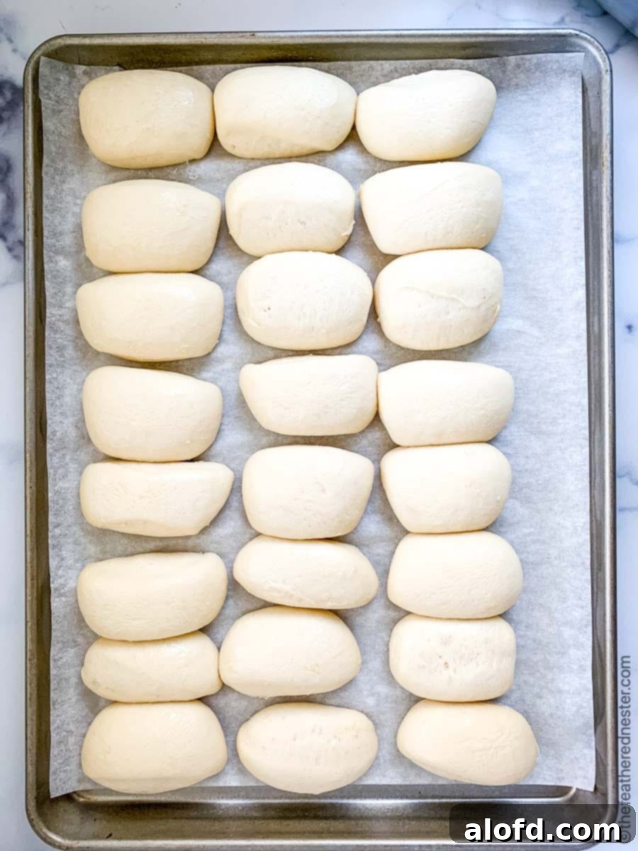 A sheet of freshly risen yeast rolls from frozen dough.