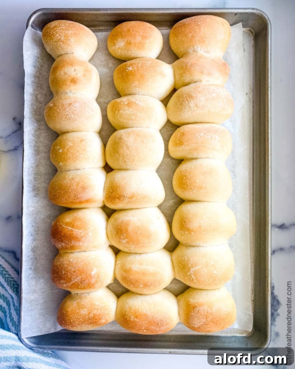 Freshly baked yeast dinner rolls on a baking sheet.