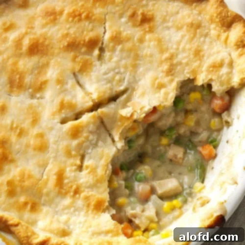 A beautifully baked chicken pot pie in a pie plate, with a golden-brown crust.