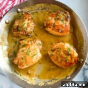 Homestyle Gravy Chicken Thighs 9 A stainless steel skillet filled with golden-brown chicken thighs, ready to be served or prepared with gravy.