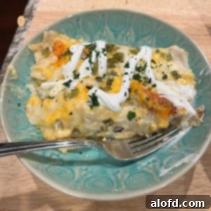 Luscious Sour Cream Chicken Enchiladas 12 Creamy Sour Cream Chicken Enchiladas