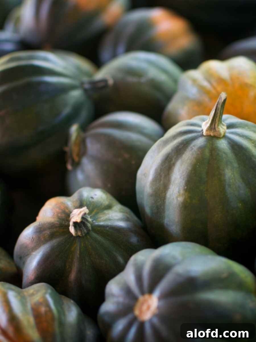 Creamy Instant Pot Acorn Squash Soup 4 Whole winter squashes, including acorn squash, shown close up on a rustic surface.