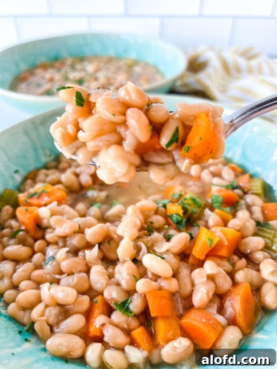 Closeup of a spoon of navy bean soup.