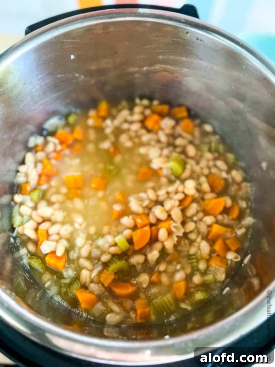 Raw ingredients for navy bean soup in the Instant Pot.