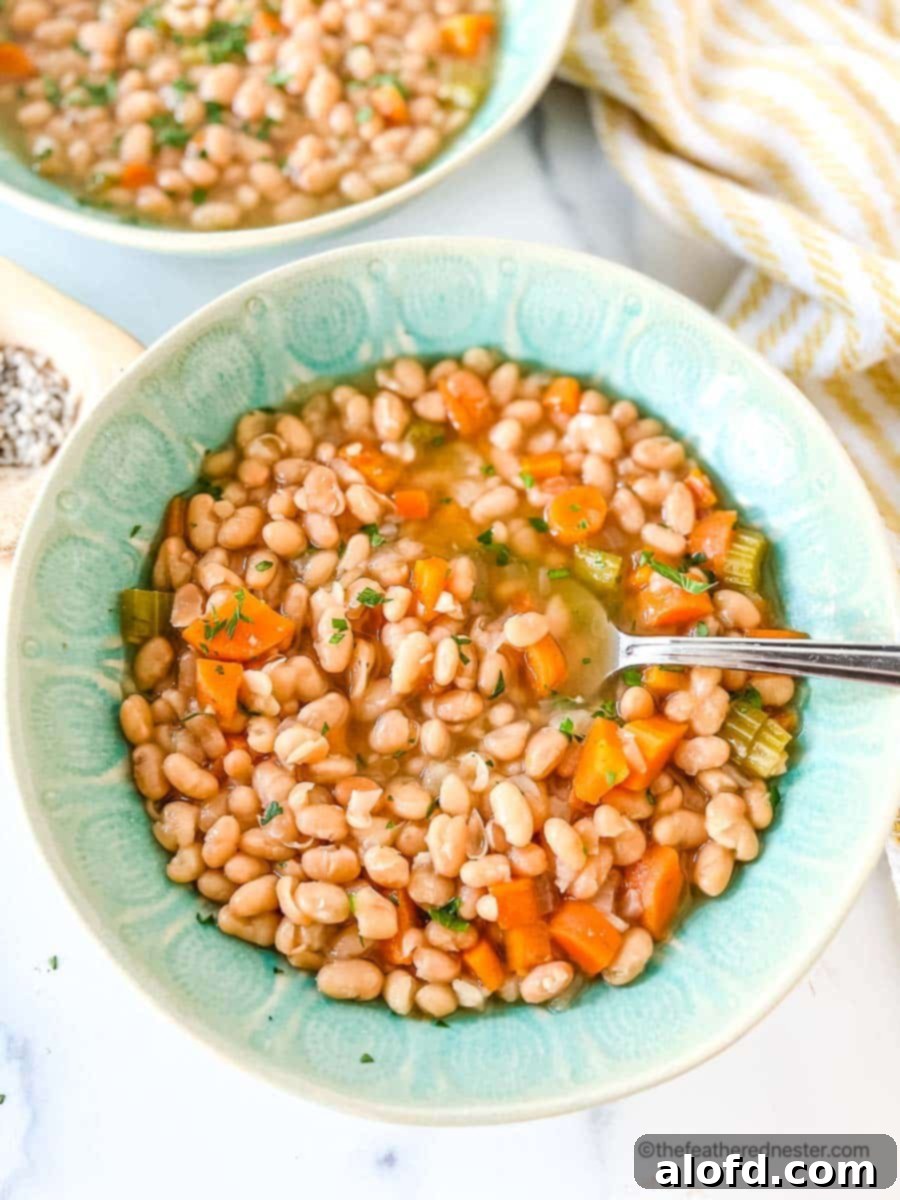 A bowl of navy bean soup.