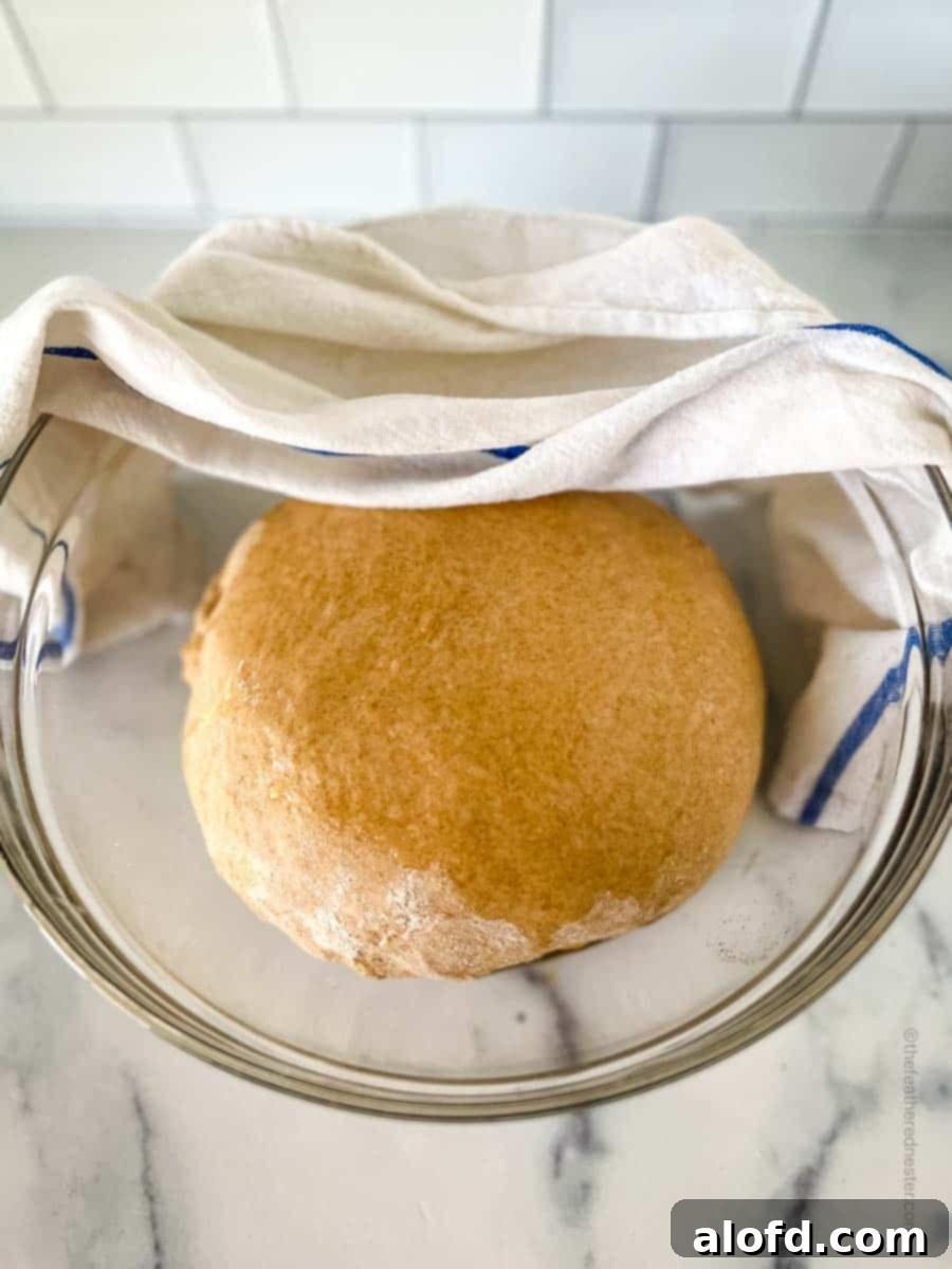 Dough ball in a clear bowl with a damp towel over it, showcasing the initial rise.