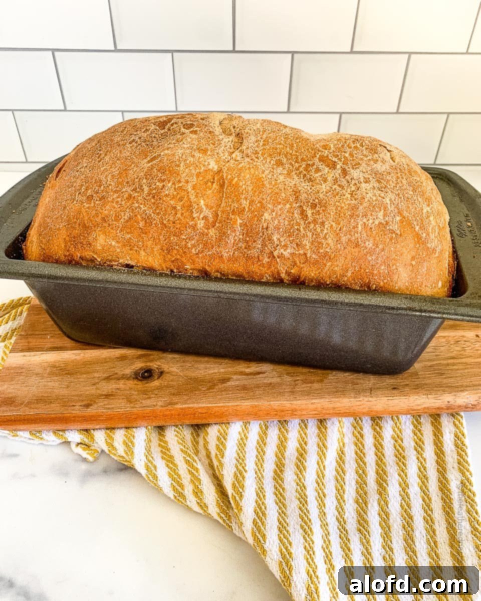 Baked whole wheat sourdough bread cooling in a bread pan on a wooden board.