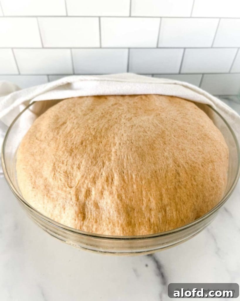 A clear bowl showing beautifully risen easy sandwich bread dough, covered with a kitchen towel resting in the background, indicating it's ready for shaping and baking.
