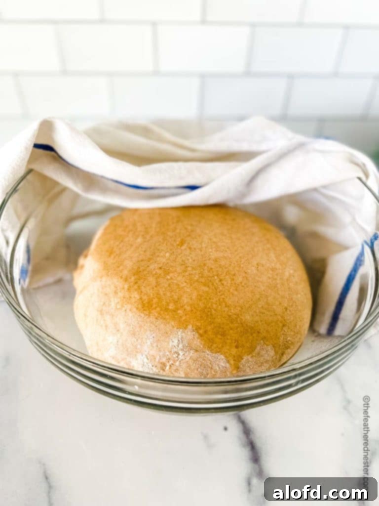 A clear glass bowl showcasing a ball of whole wheat bread dough after its first rise, having doubled in size and looking soft and ready for the next step.