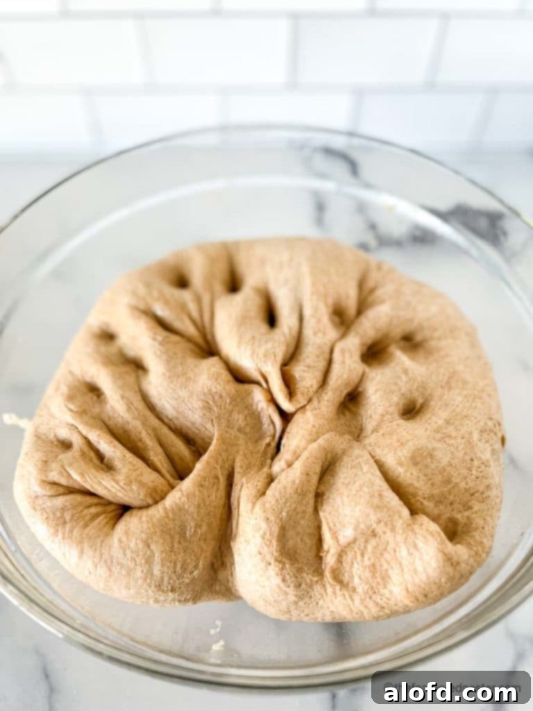 A clear glass bowl with punched-down whole wheat bread dough, indicating it has completed its first rise and is now ready for shaping or a second proof.