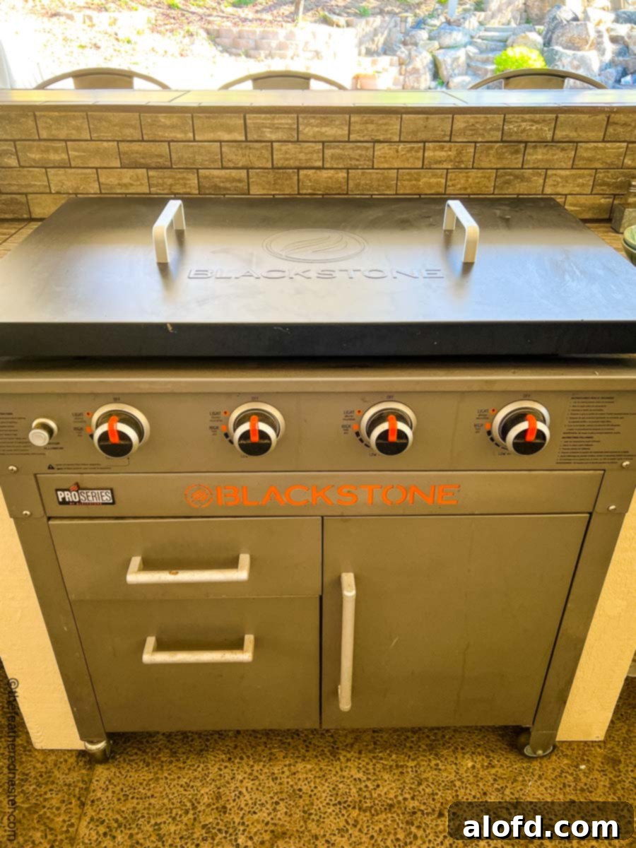 Sizzling Blackstone Fried Rice 5 Blackstone Griddle