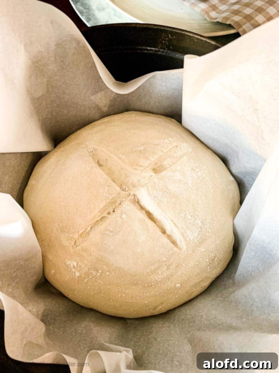Risen sourdough garlic bread dough with a scored 'X' on top, nestled in parchment paper inside a Dutch oven, ready for baking.