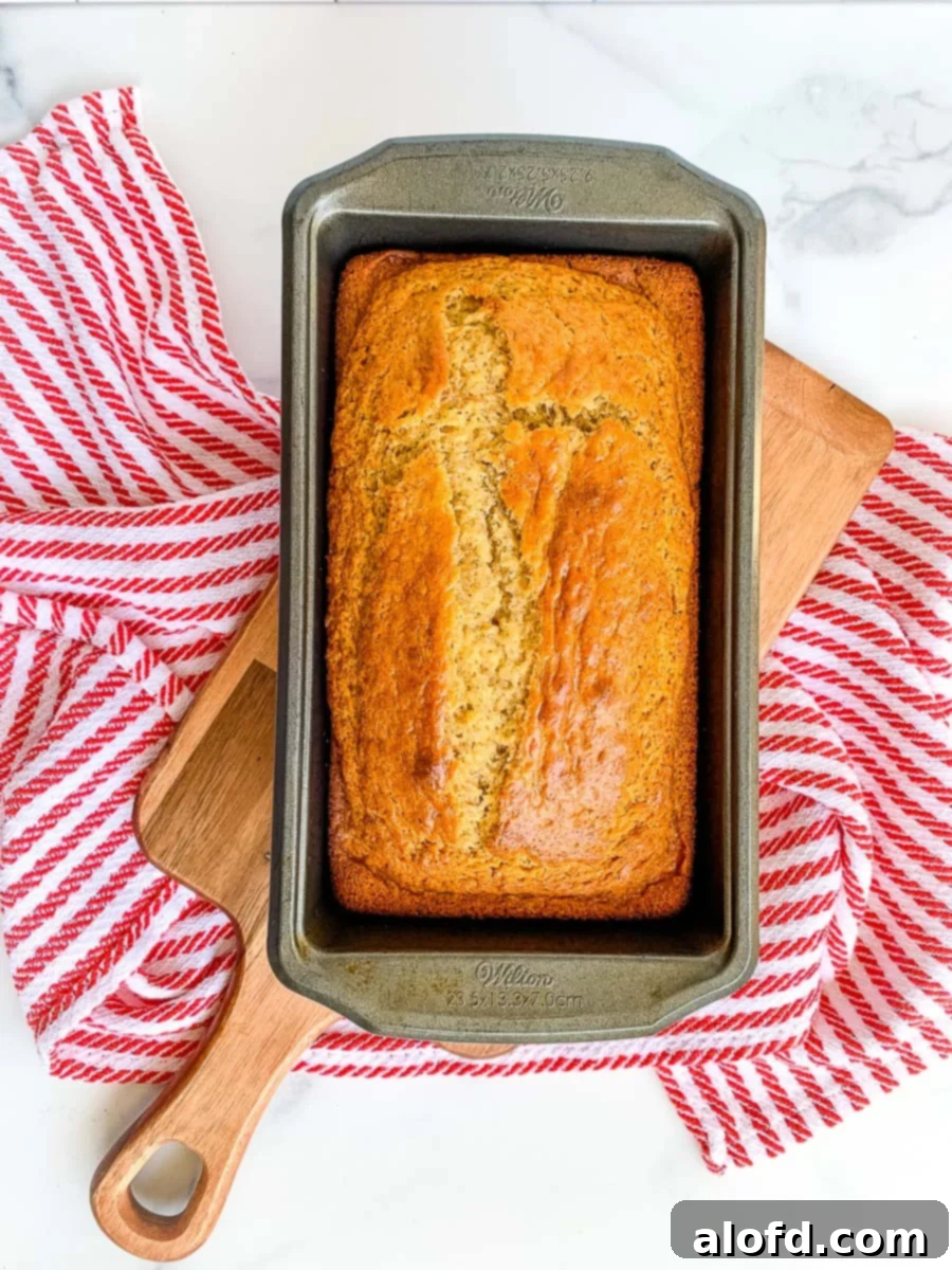 Effortless Self-Rising Banana Bread 8 A loaf of banana bread using self rising flour freshly baked from the oven.