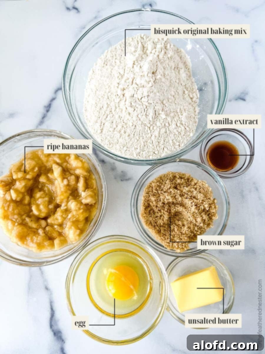 A visual guide showing all the labeled ingredients needed for a Bisquick banana muffin recipe, including bananas, butter, sugar, egg, vanilla, and Bisquick mix.