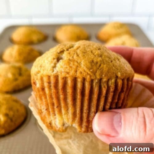 A close-up of a perfectly baked Bisquick banana muffin.