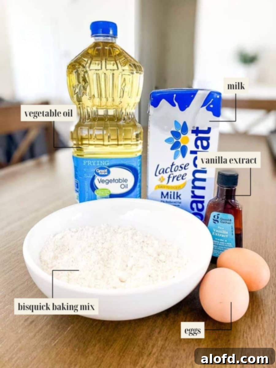 A clear, labeled image showing all the ingredients required for the funnel cake recipe, including Bisquick mix, milk, eggs, vanilla extract, and cooking oil.