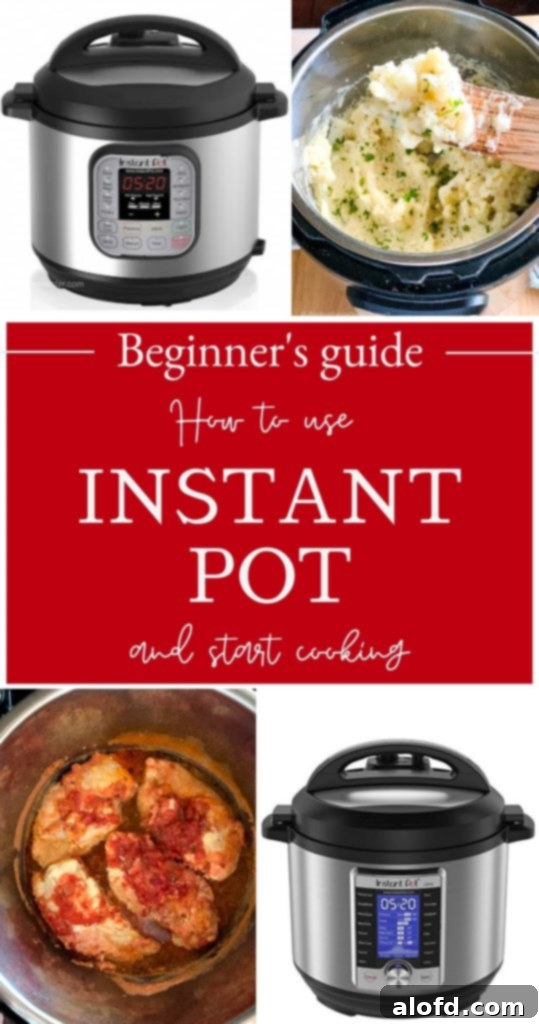 Instant Pot 101: A beginner's guide to using the Instant Pot electric pressure cooker.