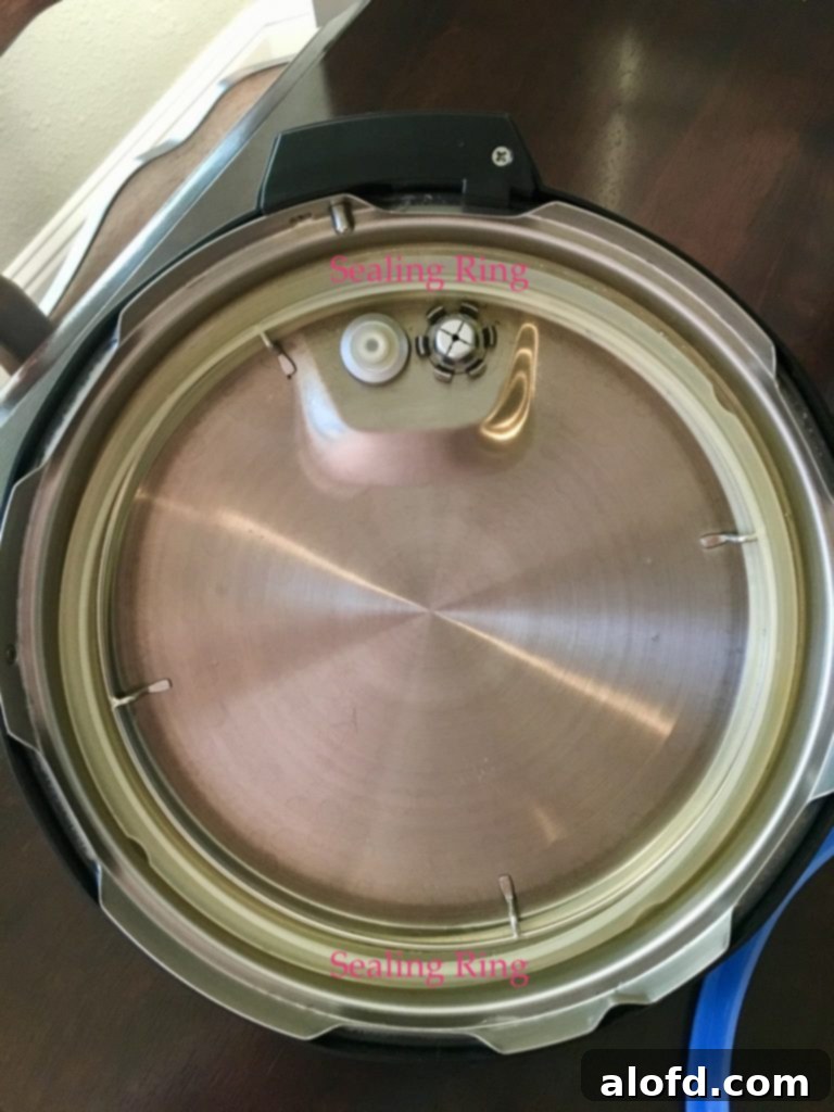 Detailed view of the Instant Pot sealing ring, emphasizing its importance for a proper seal.