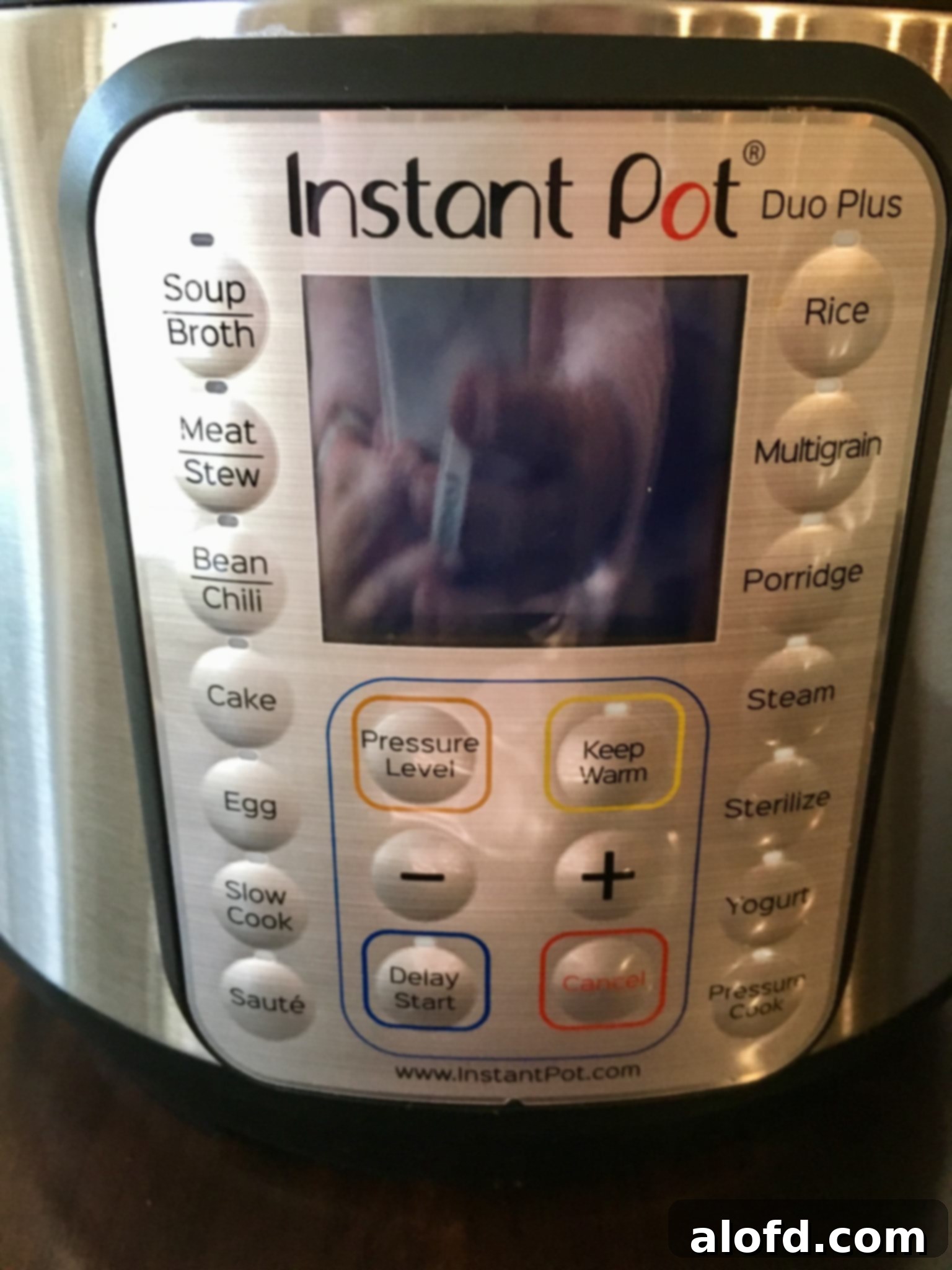 Front function panel of the Instant Pot, detailing the various cooking modes and digital display.