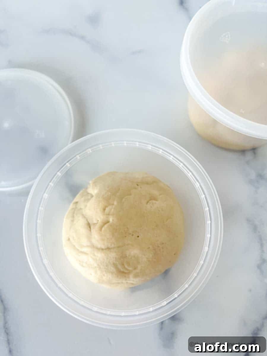 Mastering Pizza Dough Freezing for Future Feasts 6 A pizza dough ball placed in a freezer-safe storage container.