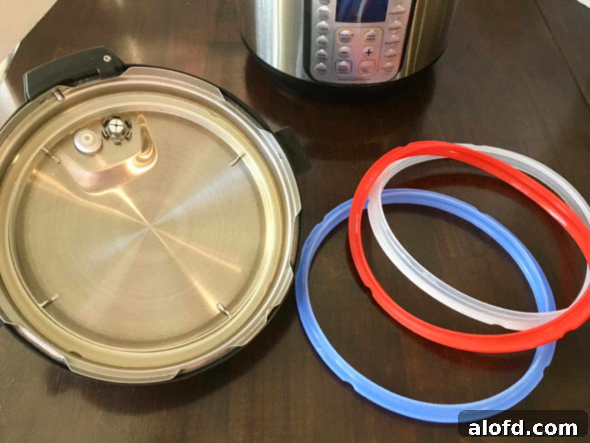 Maximize Your Instant Pot 4 Close-up of an Instant Pot sealing ring, essential for proper pressure.