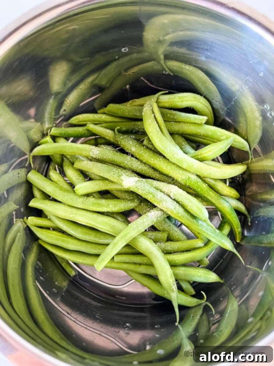 Quick and Tender Instant Pot Green Beans 6 Fresh green beans with salt on top inside the instant pot.