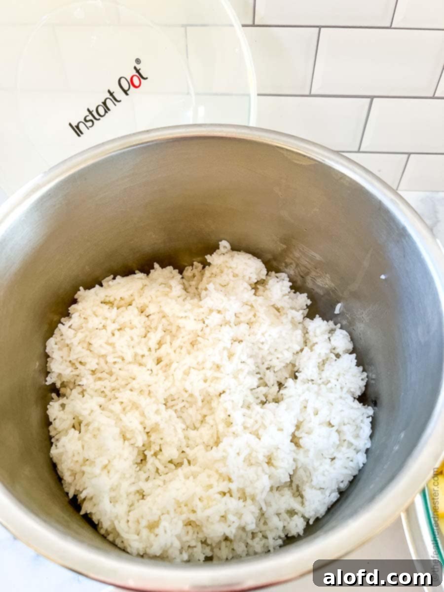 Cold cooked rice in a stainless steel mixing bowl, ready for stir-frying.