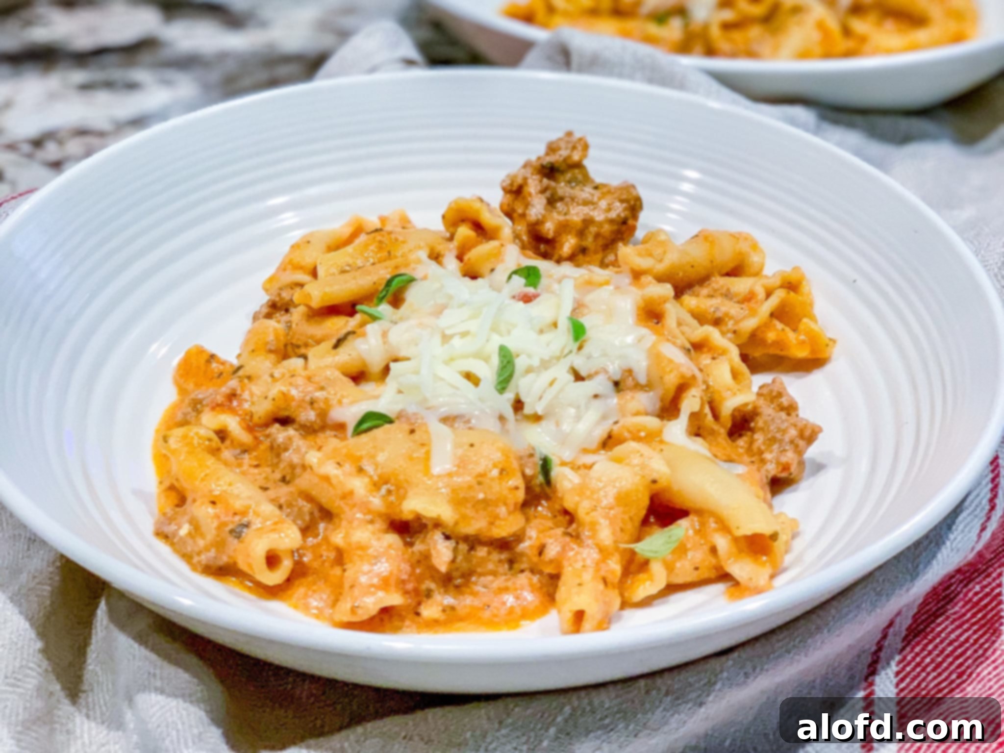 Effortless Instant Pot Lasagna 6 A plate of Instant Pot Easy Lasagna, topped with fresh basil and parmesan cheese, showcasing a hearty and quick meal.