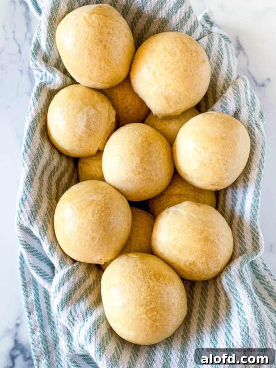 Rustic Sourdough Buns 12 Top view photo of sourdough rolls on a striped kitchen towel.