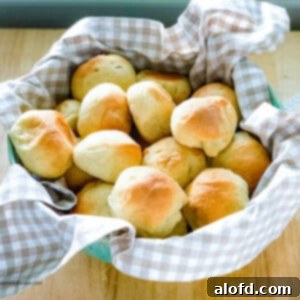 Rustic Sourdough Buns 14 Sourdough rolls on a kitchen towel wrapped bowl.