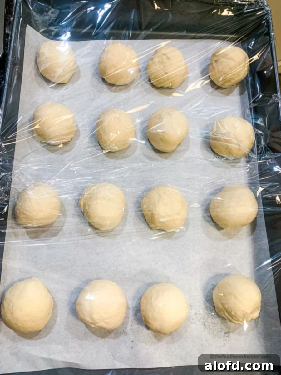 Rustic Sourdough Buns 10 Dough balls on a parchment paper lined baking sheet covered with a plastic wrap.