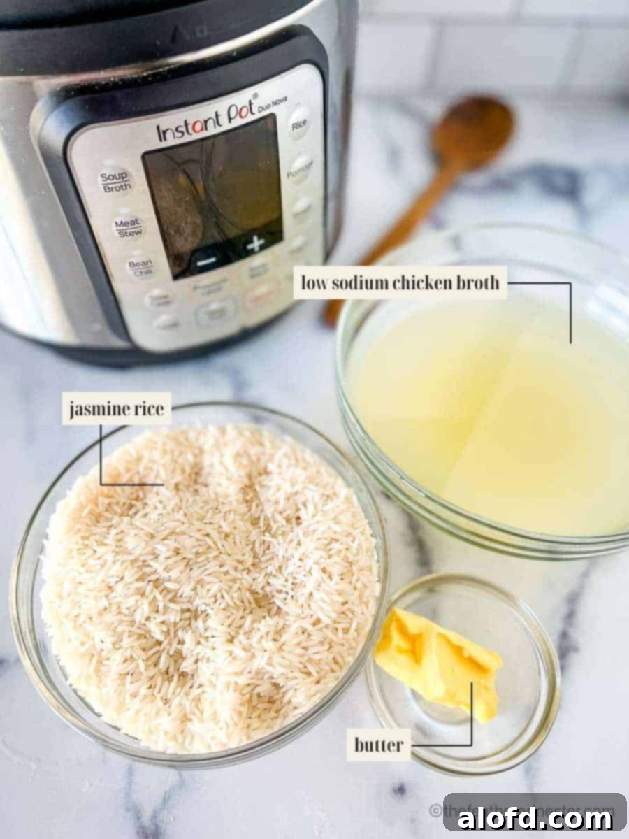 Clearly labeled ingredients displayed for making jasmine rice: a bag of jasmine rice, a stick of butter, and a carton of chicken broth.